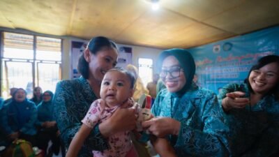 Hj. Harsinah Suhardi, Ketua TP-PKK Sulbar