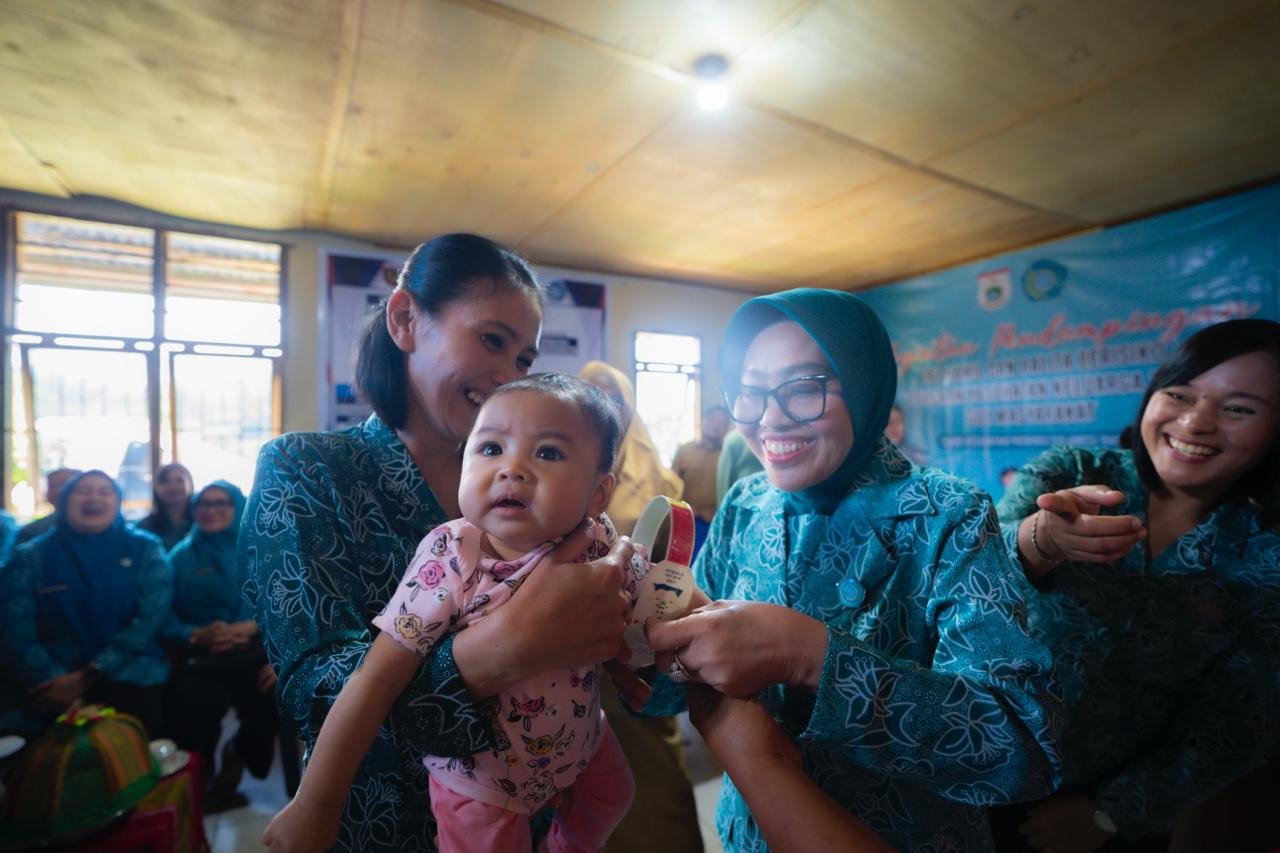Hj. Harsinah Suhardi, Ketua TP-PKK Sulbar